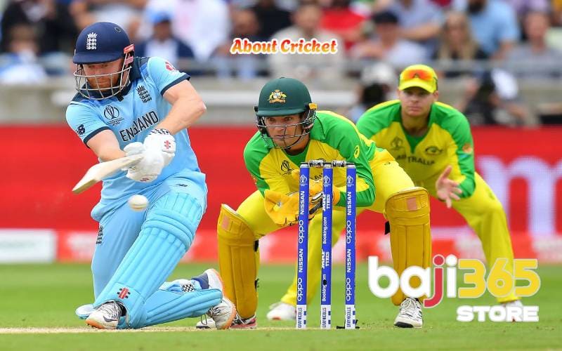 About Cricket