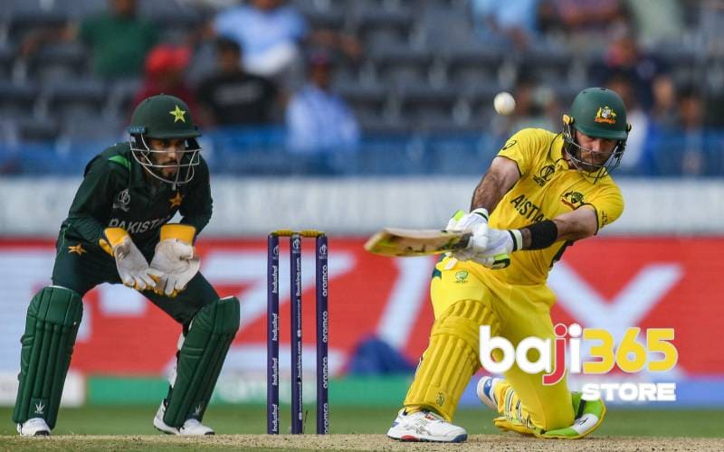 Cricket Playing Strategies from Veteran Players
