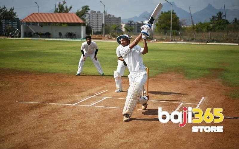 Detailed instructions on how to play Cricket