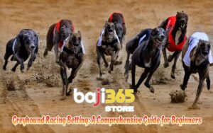 Greyhound Racing Betting: A Comprehensive Guide for Beginners
