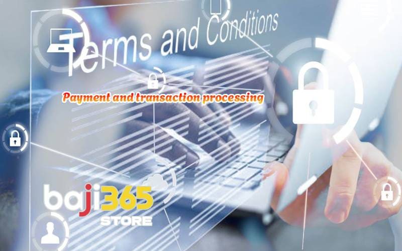 Payment and transaction processing