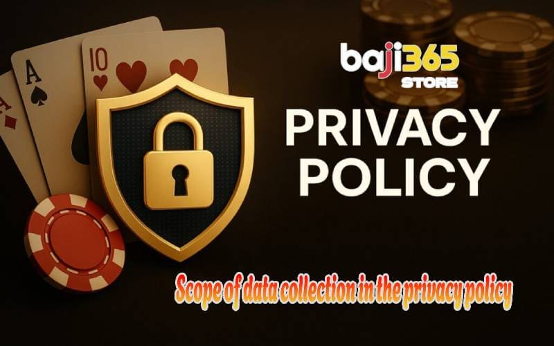 Scope of data collection in the privacy policy