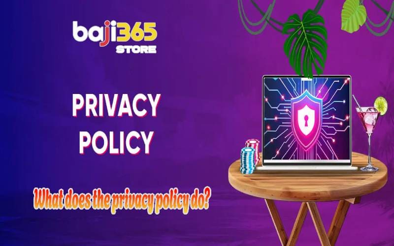 What does the privacy policy do?