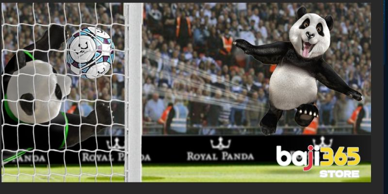 Bankroll Rules That Keep Panda Sports Sessions Stable